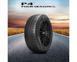 P4 Forseason Plus