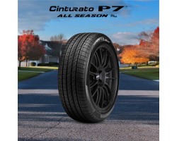 Cinturato P7